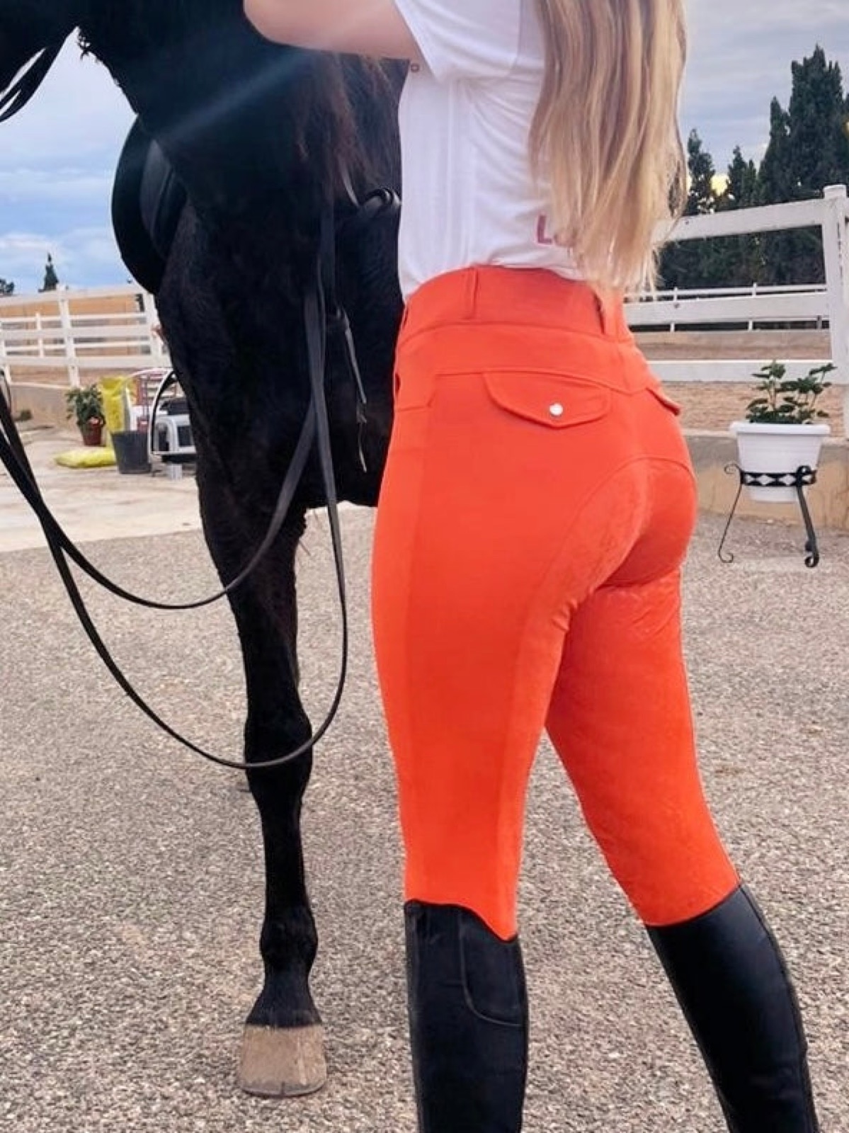 The science behind the perfect riding breeches